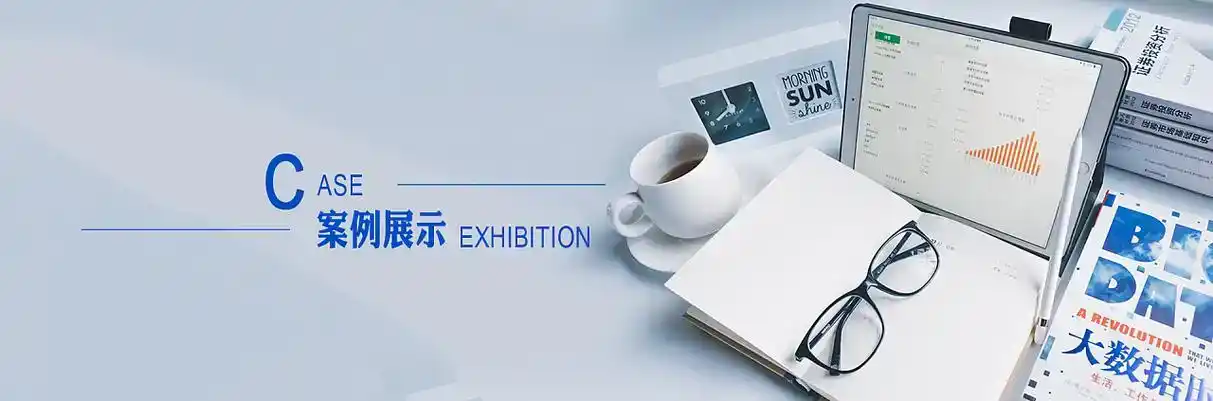 岷县软件开发